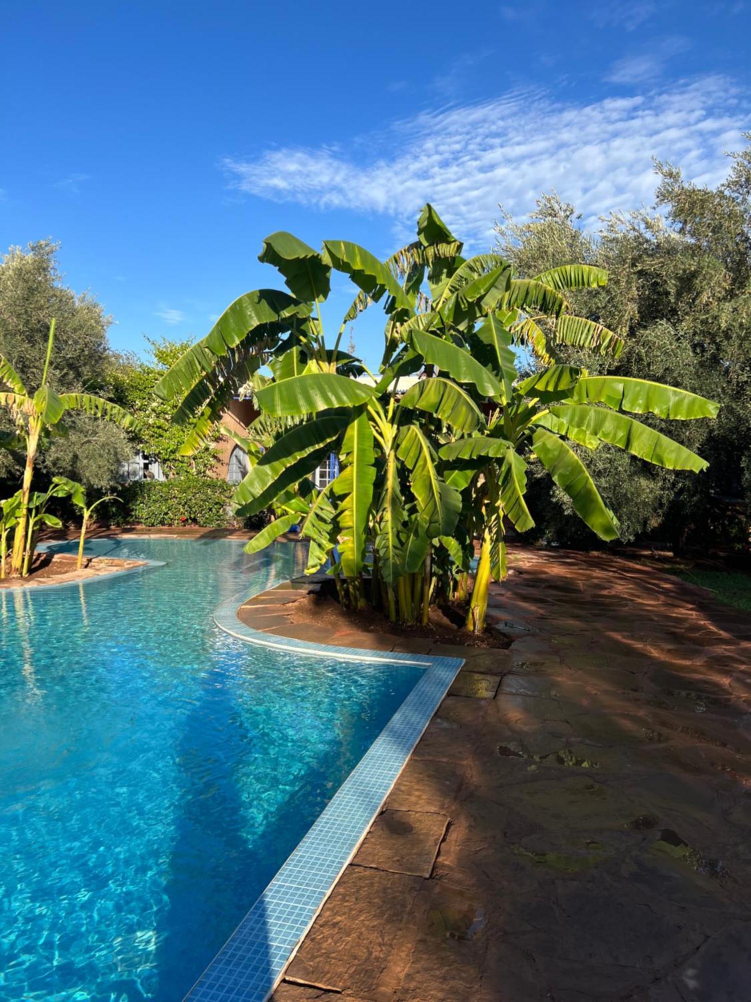Le Domaine De Carole Marrakech Bed and Breakfast Douar Akkara Exteriör bild