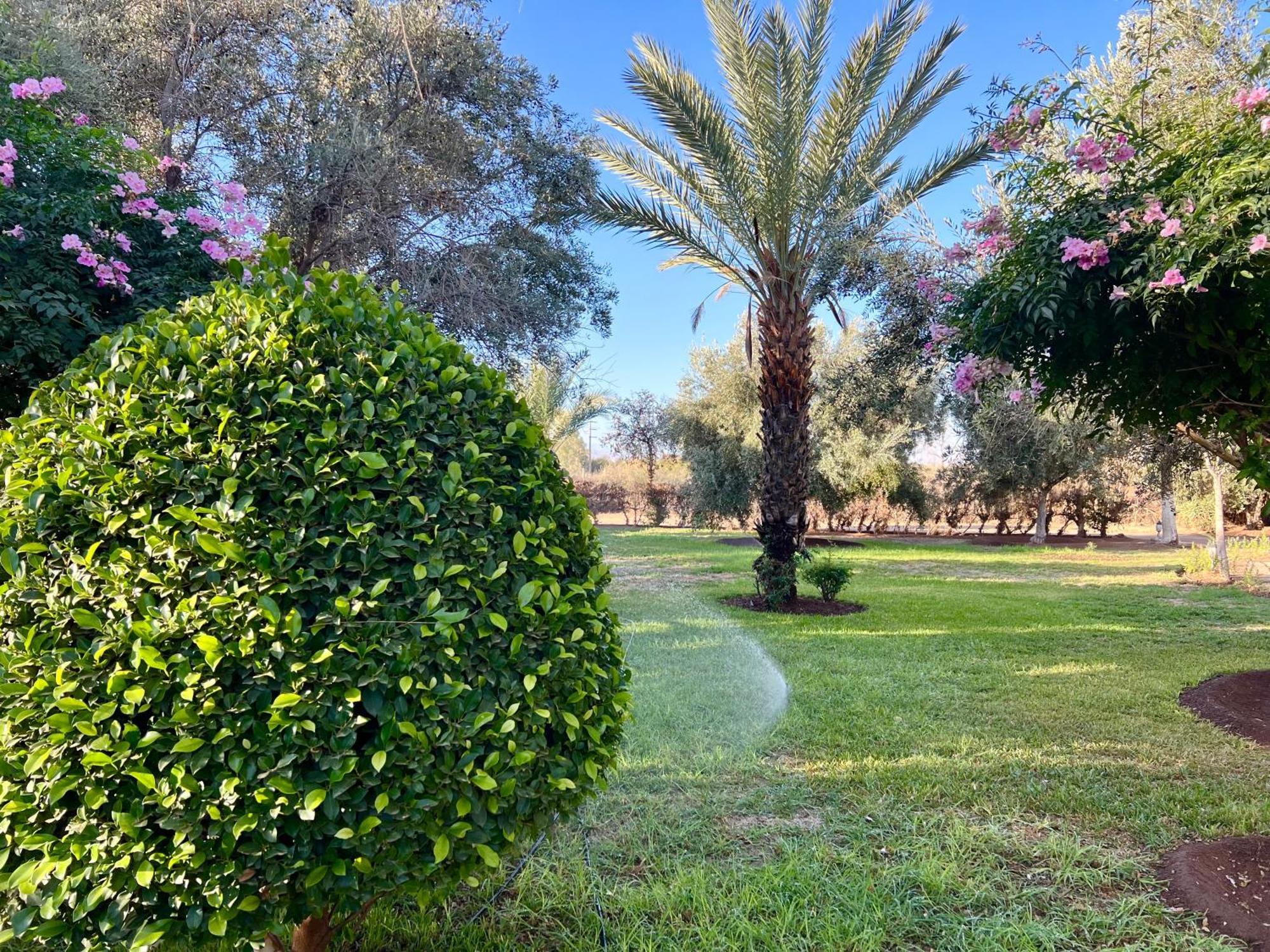 Le Domaine De Carole Marrakech Bed and Breakfast Douar Akkara Exteriör bild