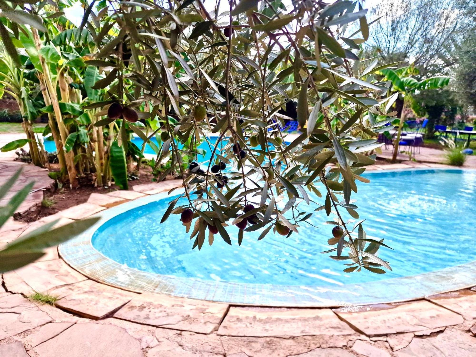 Le Domaine De Carole Marrakech Bed and Breakfast Douar Akkara Exteriör bild