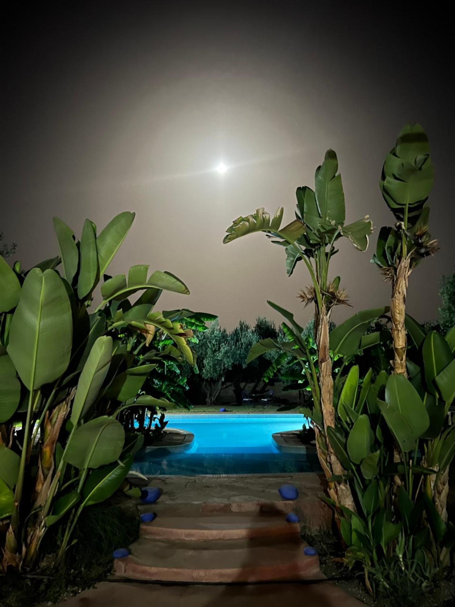 Le Domaine De Carole Marrakech Bed and Breakfast Douar Akkara Exteriör bild