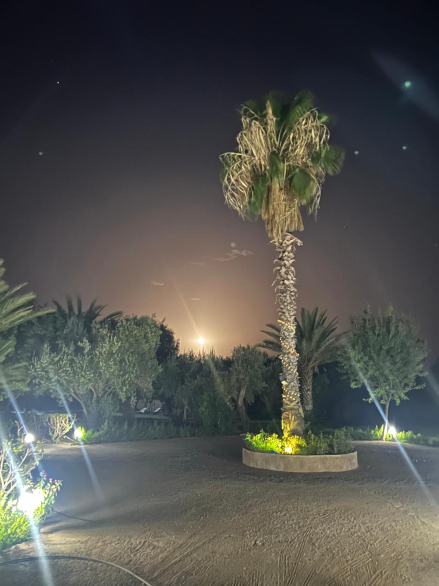 Le Domaine De Carole Marrakech Bed and Breakfast Douar Akkara Exteriör bild